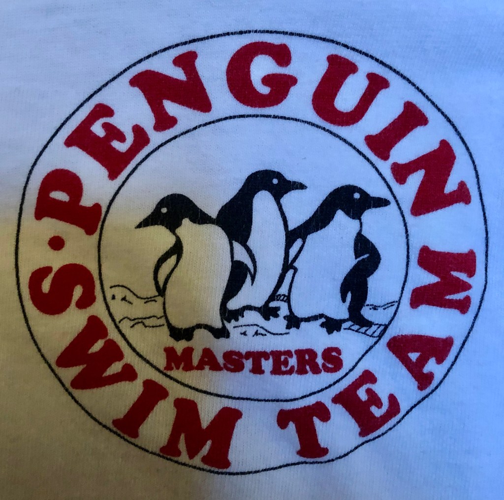 Penguin Swim Club: A Look Back